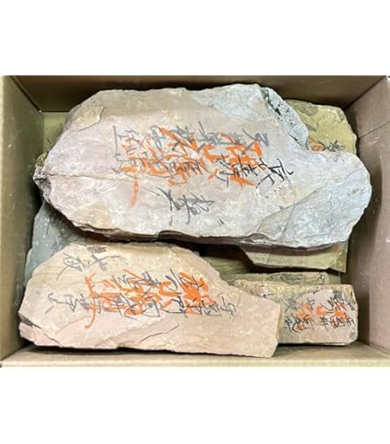 Amazon | 天然砥石 山城銘砥 原石粗石 天砥戸前 奥殿紅葉巣板 中山 大